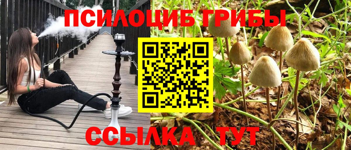 Протвино  Галлюциногенные грибы прущие грибы  Галлюциногенные грибы Psilocybe  Вход с VPN 